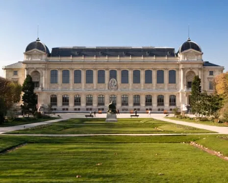 Priceless Gold Specimens Stolen in Bold Raid at French Natural History Institution