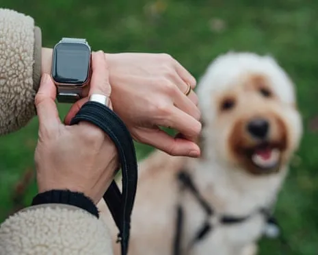 The Truth Regarding Smartwatches? Daily Existence Improves Devoid of a Nagging Device on Your Wrist